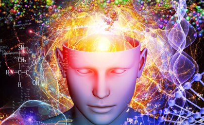 Neuroscientists from The University of Queensland’s Queensland Brain Institute may have found a way to silence the gene that feeds fear. Neuroscientists from The University of Queensland’s Queensland Brain Institute may have found a way to silence the gene that feeds fear.